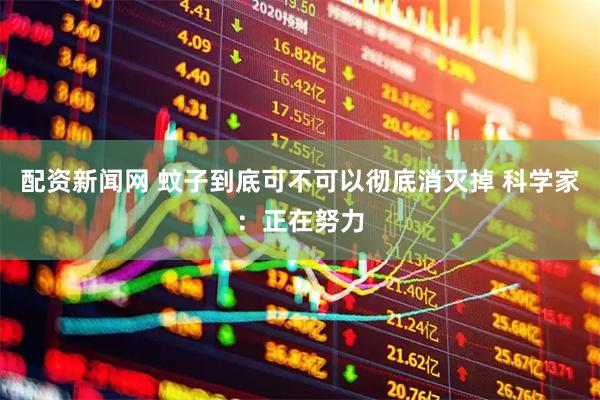 配资新闻网 蚊子到底可不可以彻底消灭掉 科学家：正在努力